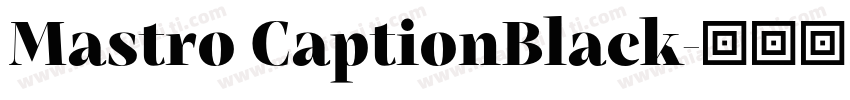 Mastro CaptionBlack字体转换